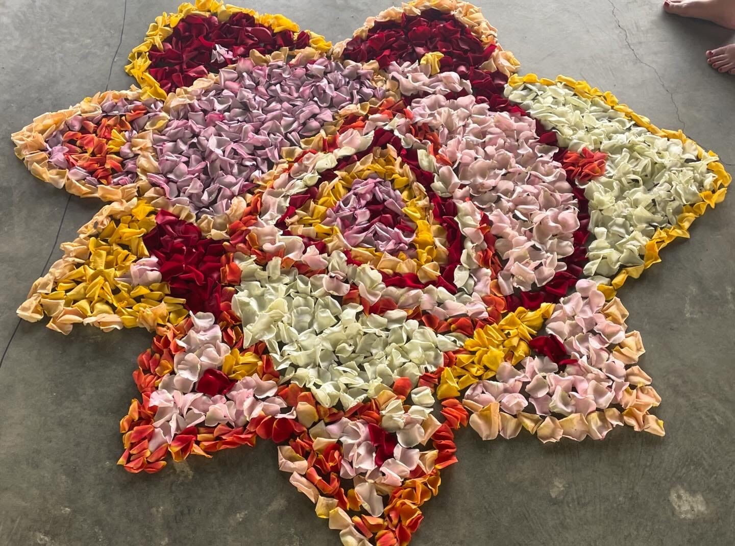 Customer photo review of Choose Your Petals!