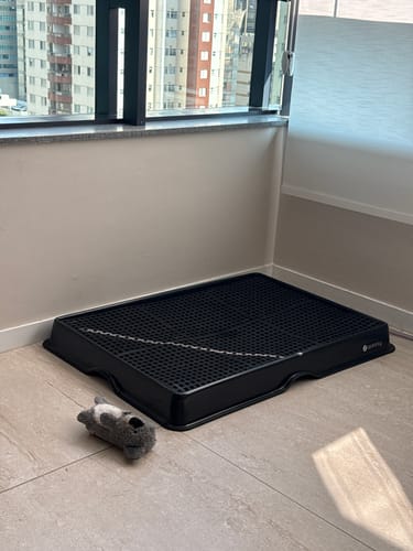 Customer photo review of Weasy Cão