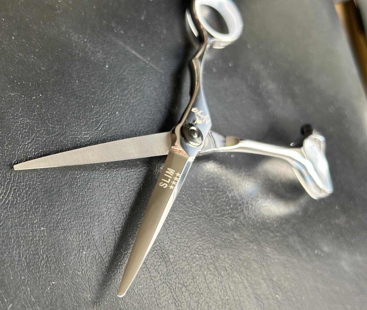 Customer photo review of SLIM