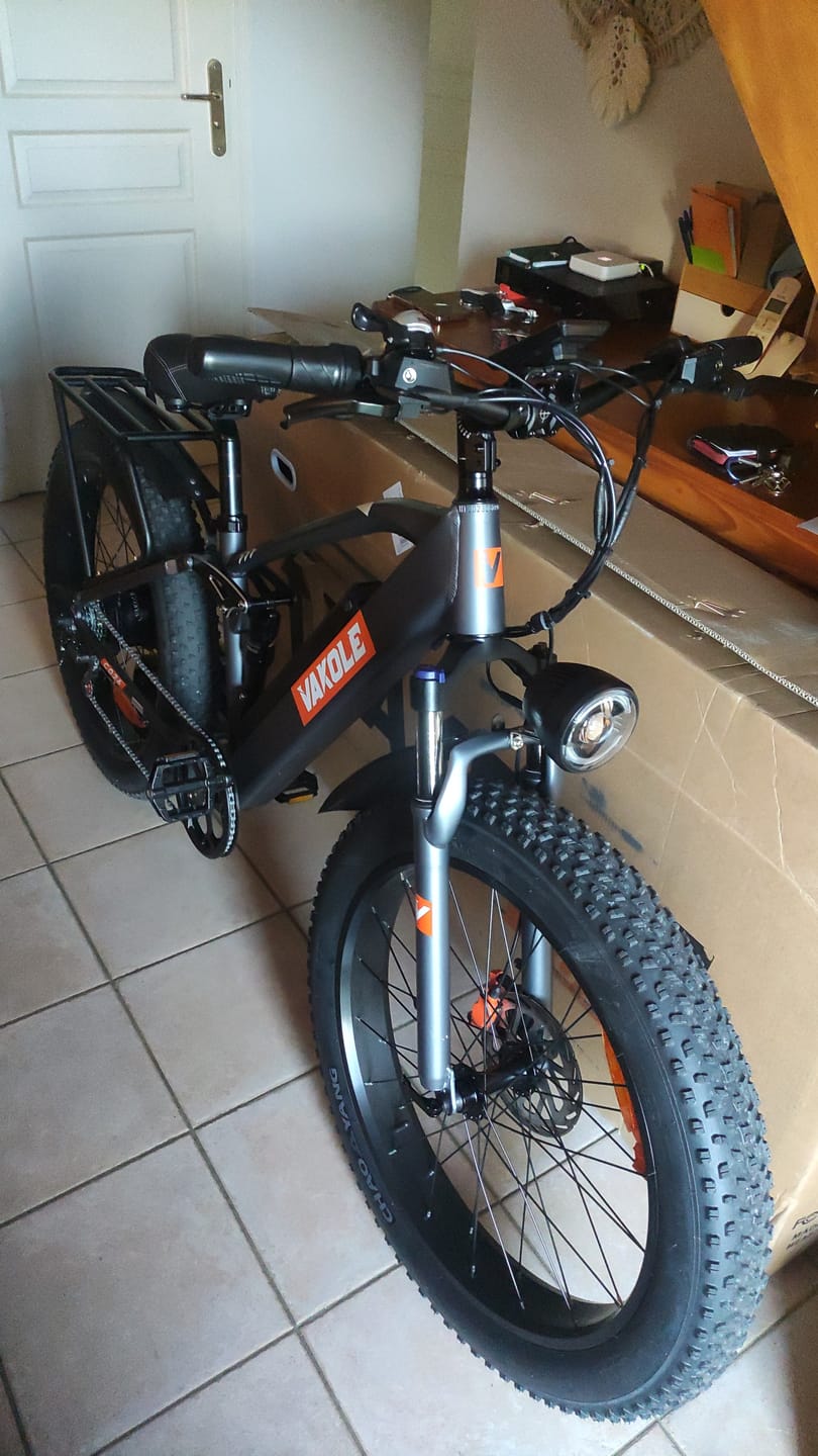 Customer photo review of Vakole CO26 26" 750W Fat Bike Full Suspension E-Mountain Bike 48V 16Ah E-MTB