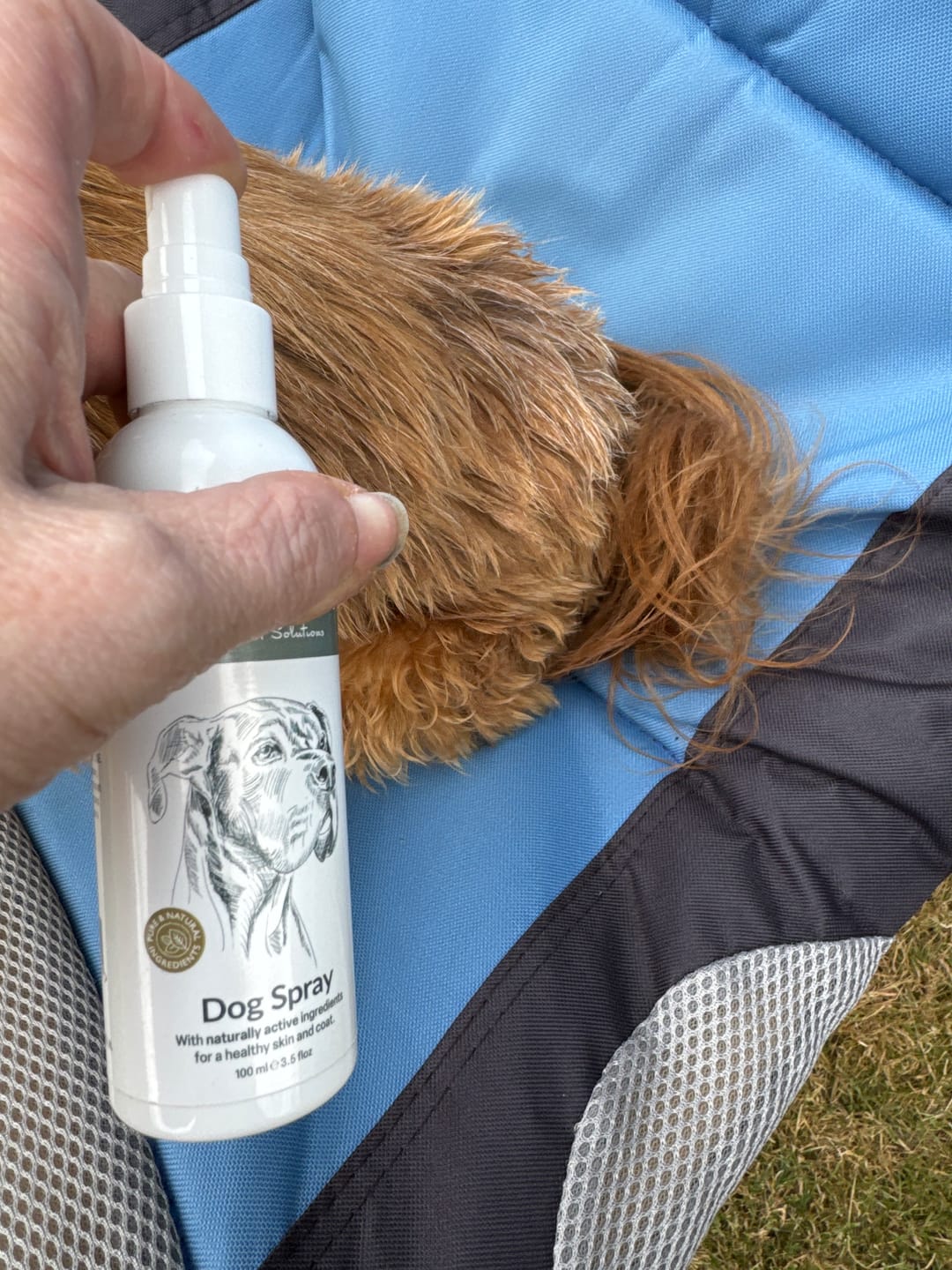 Customer photo review of Dog Skin Rescue Bundle