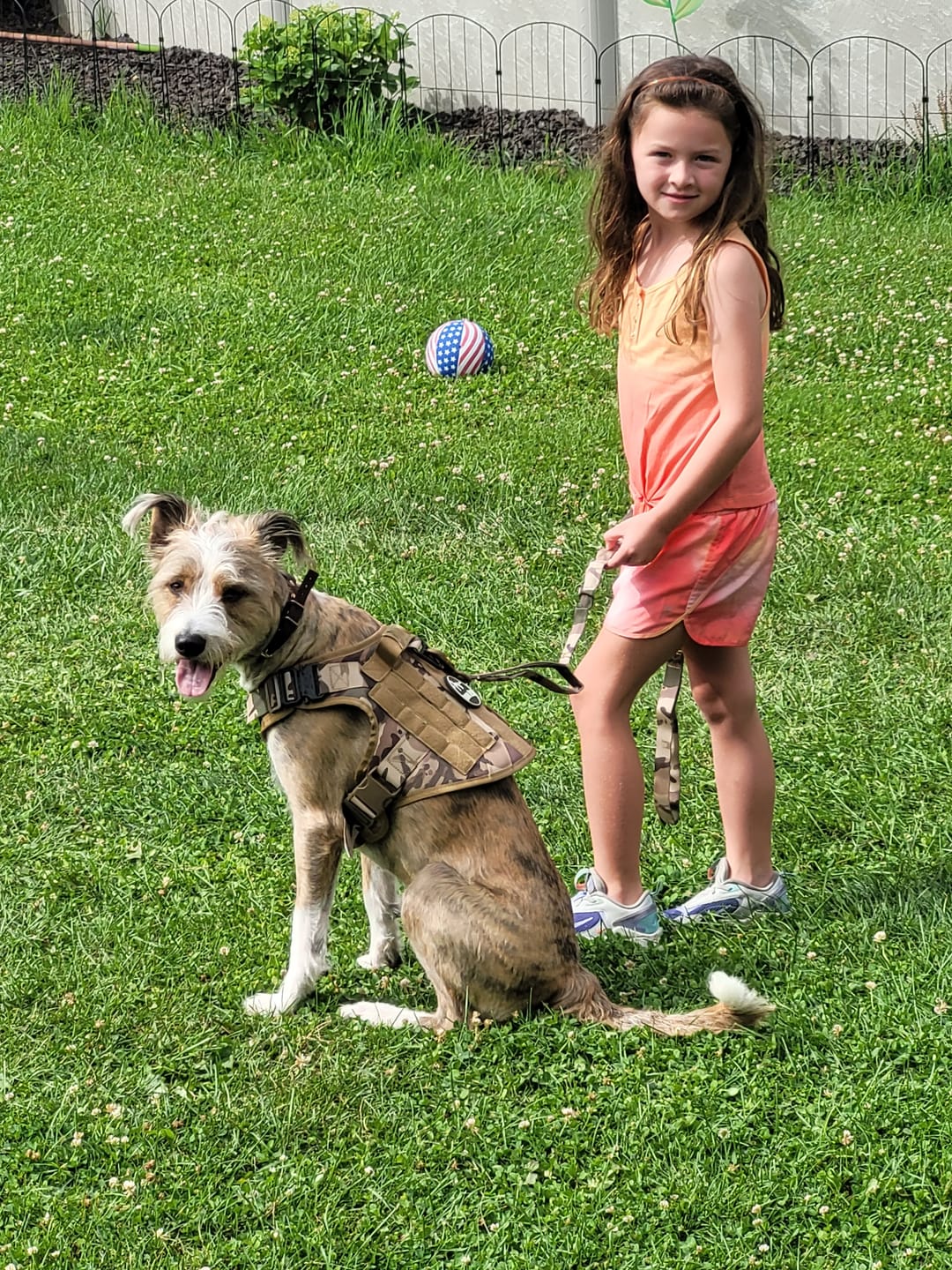 Customer photo review of Heavy-Duty Double-Handle Tactical Bungee K9 Dog Leash