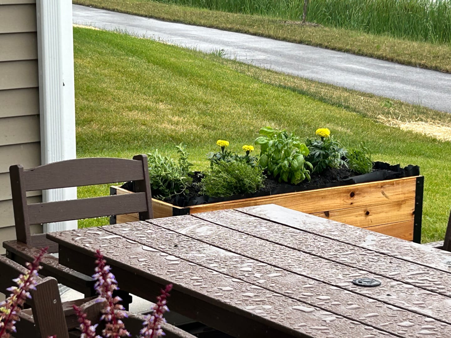 Customer photo review of 18" x 48" Planter Box - 24" Tall