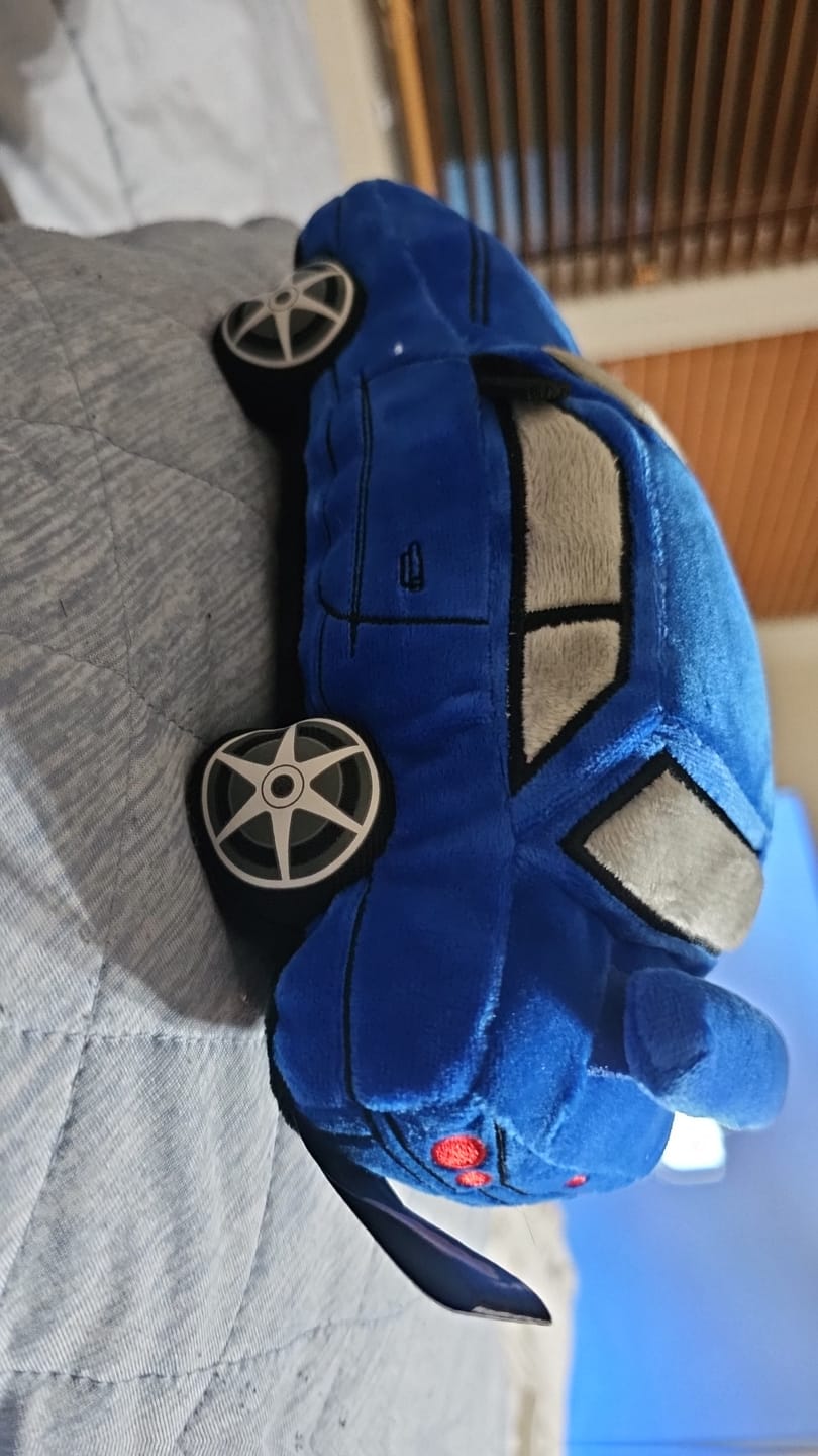 Customer photo review of Skyline r34 Plushie