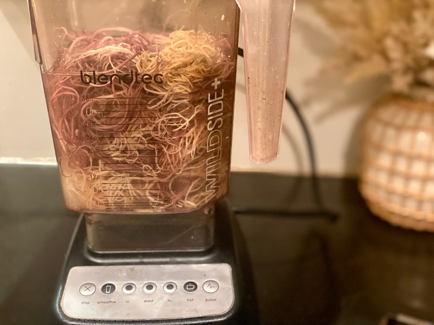 Customer photo review of RAW SEA MOSS