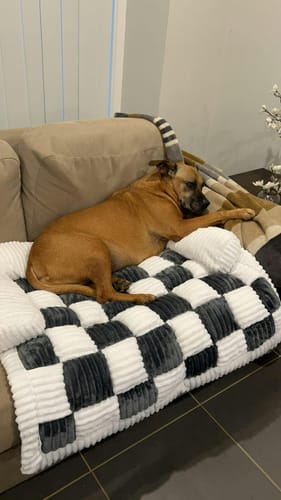 Customer photo review of Padded Furniture Protector