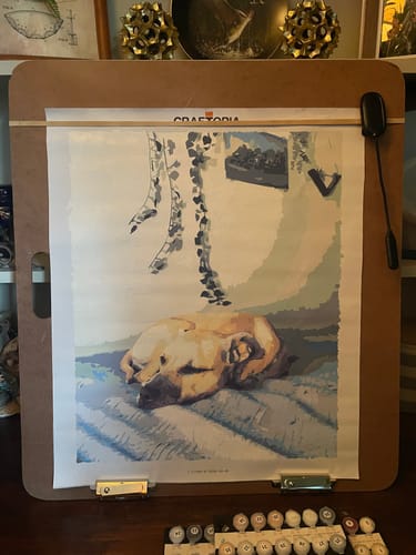 Customer photo review of Custom Paint By Numbers Kit