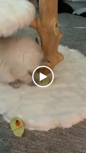 Customer video review of Lime Magic Flying Slippers