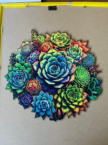 Customer photo review of Succulent Plants-3 Wooden Jigsaw Puzzle