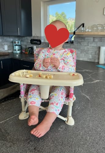 Customer photo review of Paloma portable booster chair