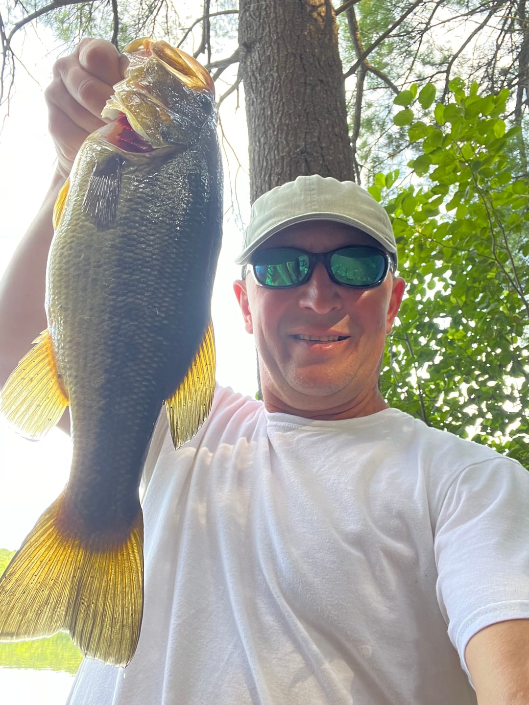 Customer photo review of 200% Sensitivity Tungsten Worm Weights | Bullet Weights | 2 Colors 10 Piece | Bulk Pack