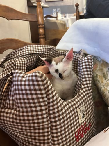 Customer photo review of Ricamo (NON RIMUOVERE)