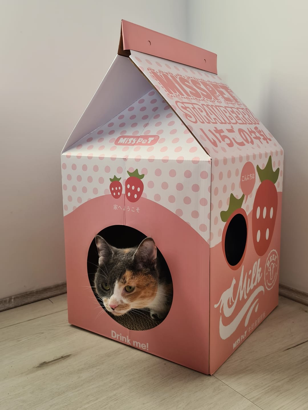 Customer photo review of Misspet Milk Box | Cat Scratcher and Nest
