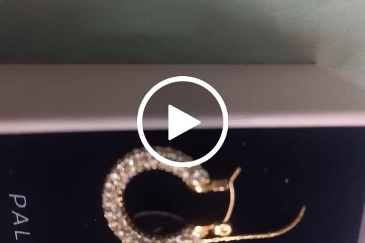 Customer video review of Diamond Studded Hoop Earrings
