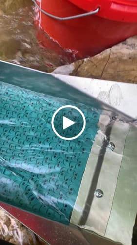 Customer video review of 8X38 Compact Combo Sluice Box