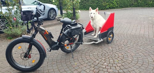 Customer photo review of Lankeleisi MG600 Plus 1000W Bafang Motor 26" Fat Bike All Terrain SUV E-Bike 48V 20Ah Samsung Battery- Pre-order