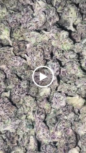 Customer video review of CHROME HEARTS T-Shirt