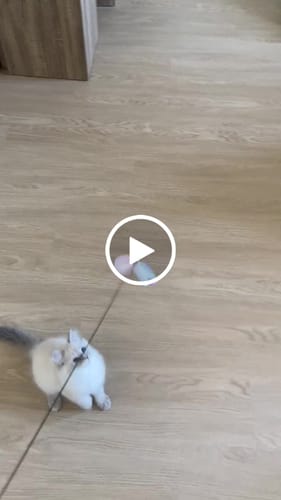 Customer video review of Unicorn Feather Teaser