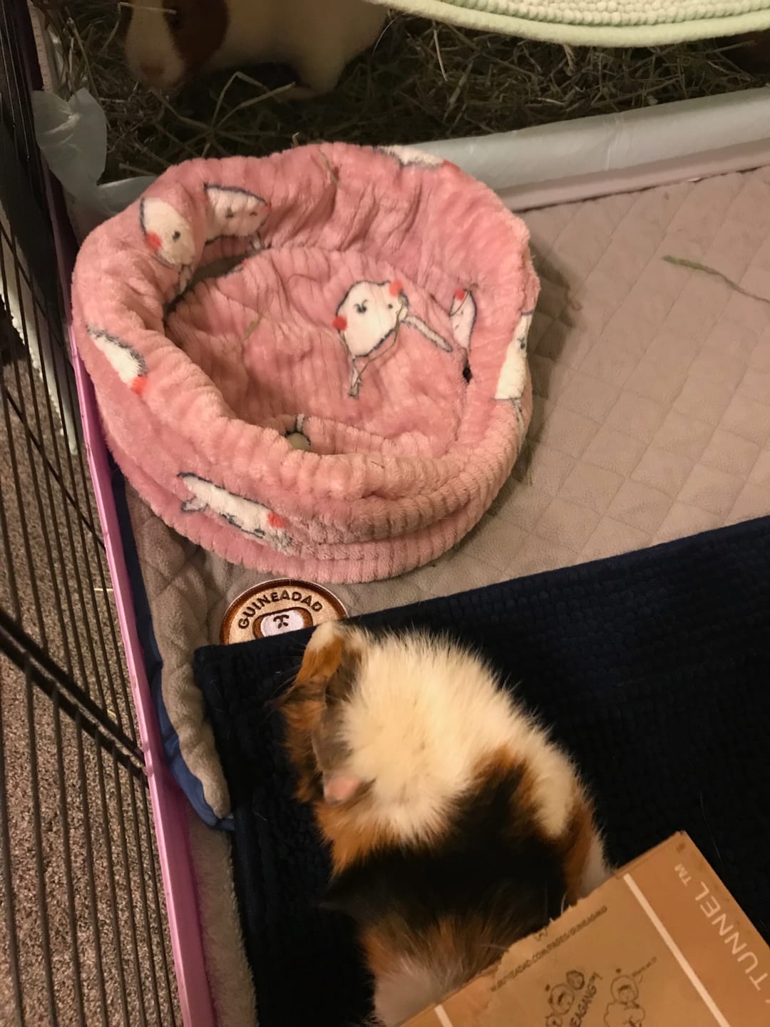 Customer photo review of Piggy Play Package
