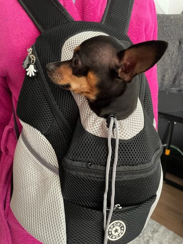 Customer photo review of PupPal Express - Praktischer Hunderucksack