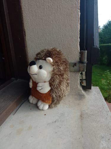 Customer photo review of Peluche Niglo
