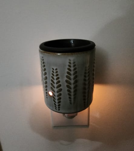 Customer photo review of Warmer: Wheat & Ivory Flip Dish Pluggable