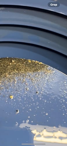 Customer photo review of Clean-Up Buddy Kit