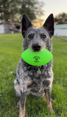 Customer photo review of Squeak & Glow Football