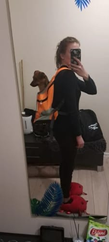 Customer photo review of PupPal Express - Praktischer Hunderucksack