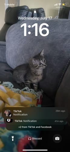 Customer photo review of Flaked Variety Pack, 2.8-oz, Case of 12