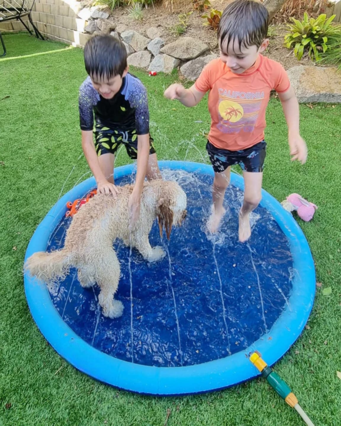 Customer photo review of Dog Splash Pad
