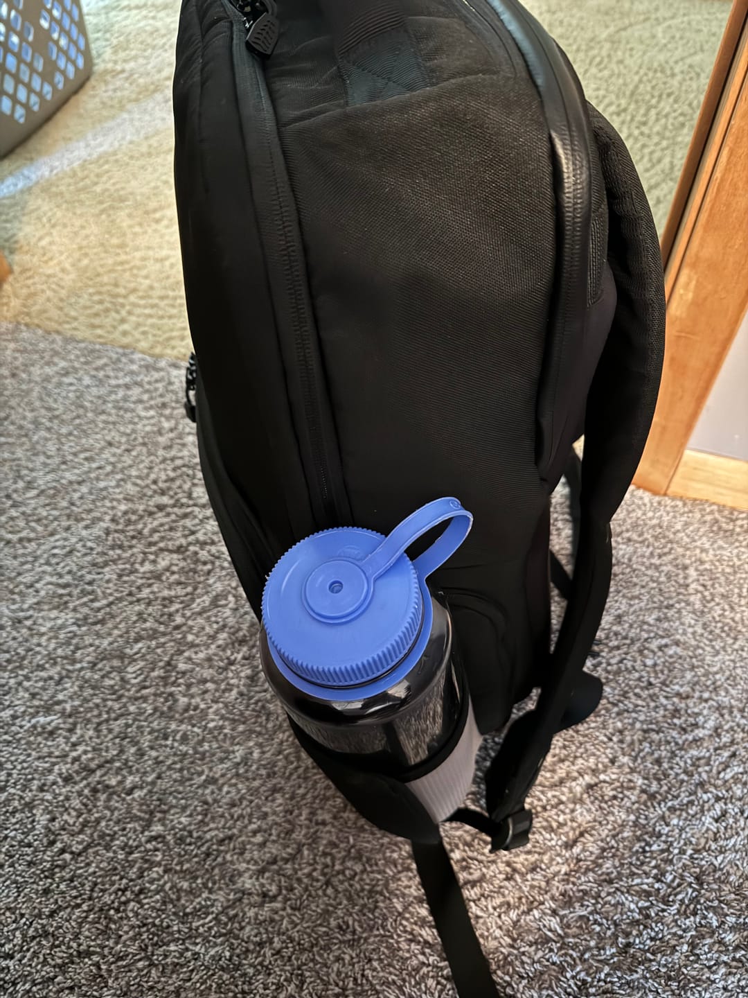 Customer photo review of Birdesc Backpack