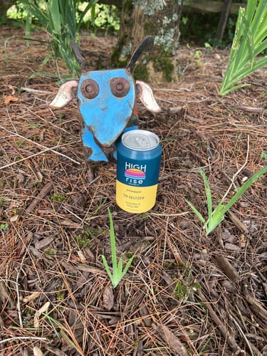 Customer photo review of Pineapple D9 THC