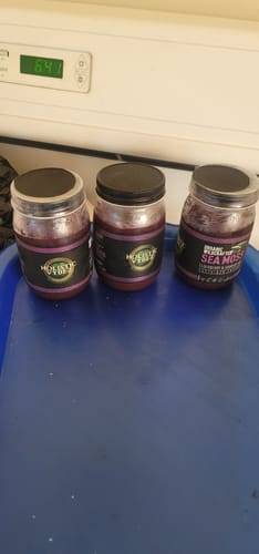 Customer photo review of Elderberry and Soursop Infused Sea Moss Gel