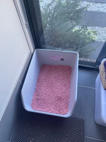 Customer photo review of Michu Tofu Cat Litter Gen3 6L- Dust-Free and Natural Clumping Tofu-Based Formula for Easy Cleanup