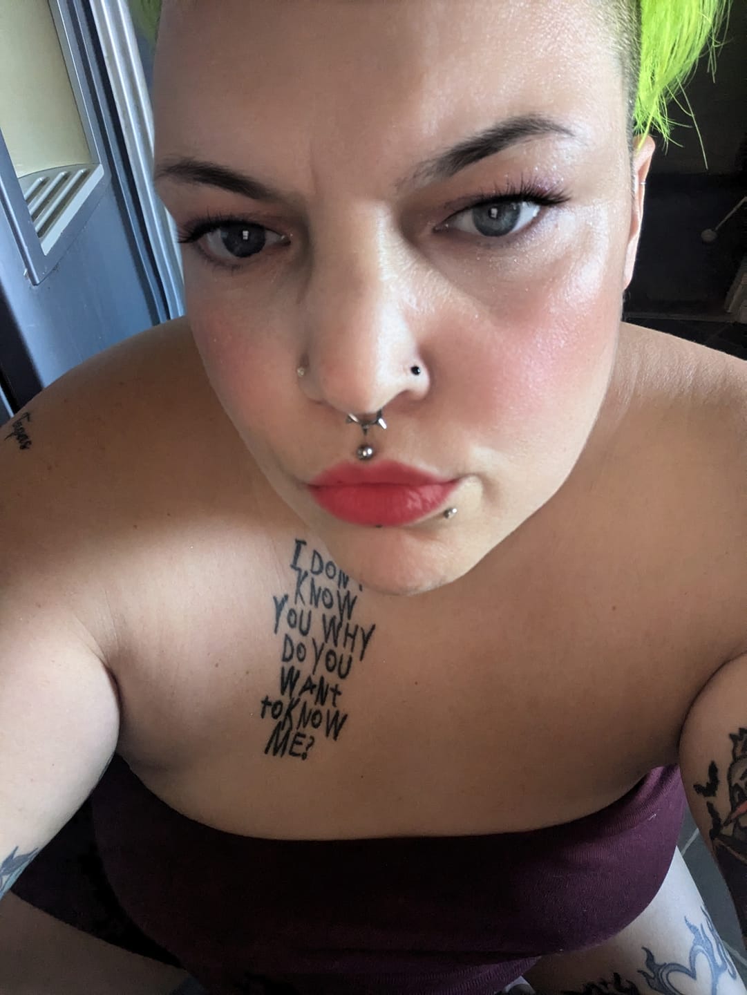 Customer photo review of Junipurr Titanium Flatback Labret Threadless