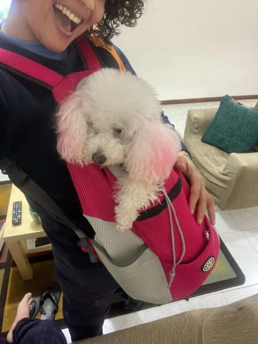 Customer photo review of PupPal Express - Praktischer Hunderucksack