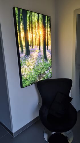 Customer photo review of Canvalight® Leuchtbild | Blühender Wald bei Sonnenaufgang | Hochformat
