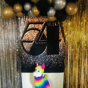 Customer photo review of Studio 54 Birthday Party Photo Backdrop With Floor