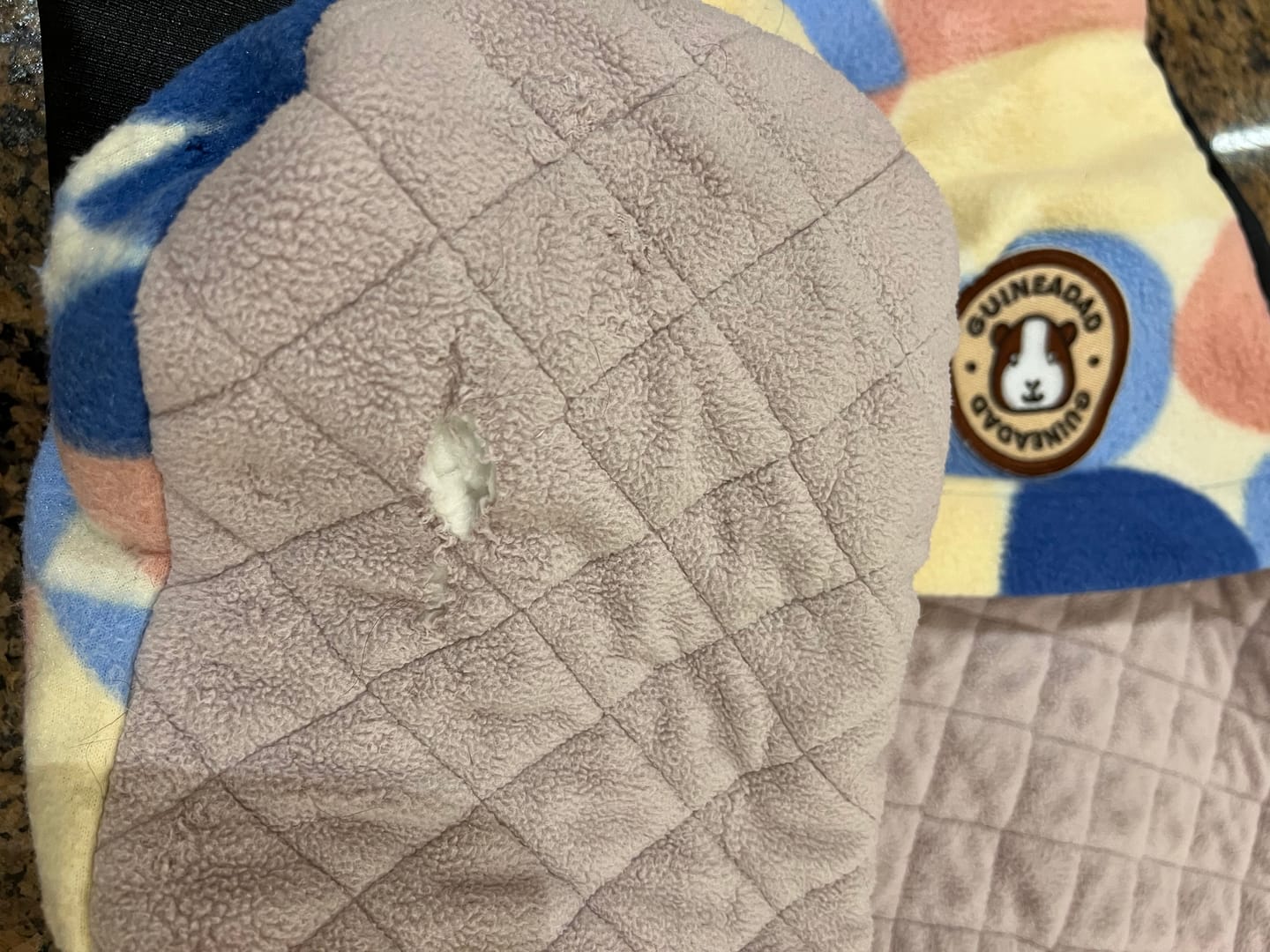 Customer photo review of Premium GuineaDad Liner