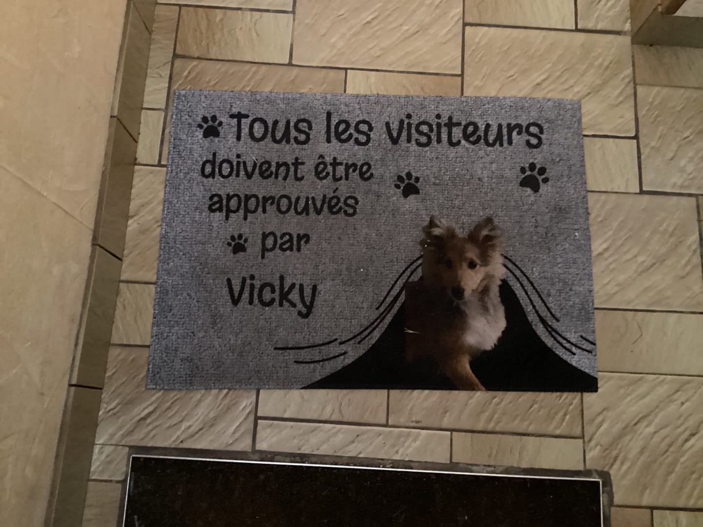 Customer photo review of Visiteur approuvé - Paillasson personnalisé