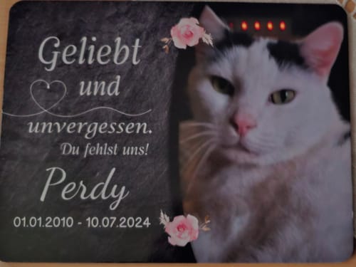 Customer photo review of Katzen Gedenktafel mit Foto & Spruch (UV- & Wetterfest)