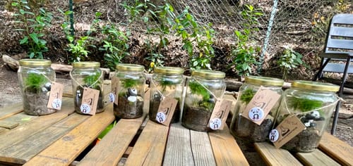 Customer photo review of Flaschengarten-Kindergeburtstags-Set