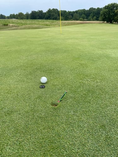 Customer photo review of Crayon Divot Tool