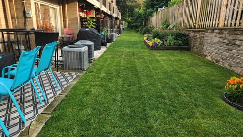 Customer photo review of GCI Turf N (Nitrogen) 20-0-0