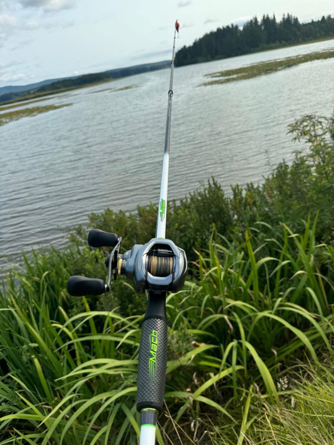 Customer photo review of Blue Wave or Moss Camo 300-2000 Yard Spools
