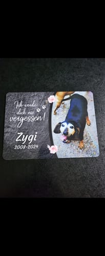 Customer photo review of Hunde Gedenktafel mit Foto & Spruch (UV- & Wetterfest)