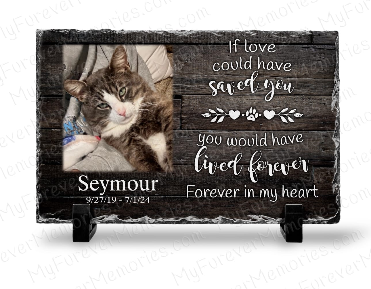 Customer photo review of Personalized Cat Memorial Plaque You Were My Favorite Hello and My Hardest Goodbye Stone Keepsake