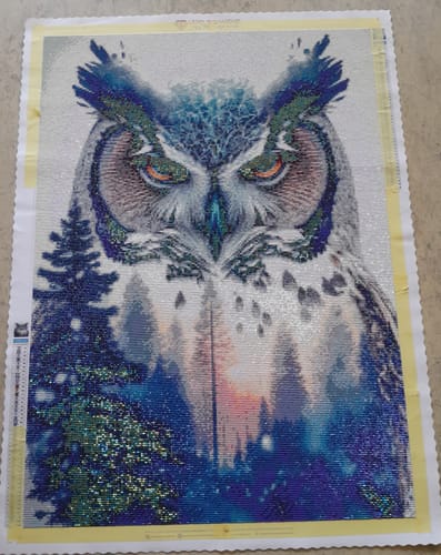 Customer photo review of 5D Diamond Painting AB Steine Natur Eule