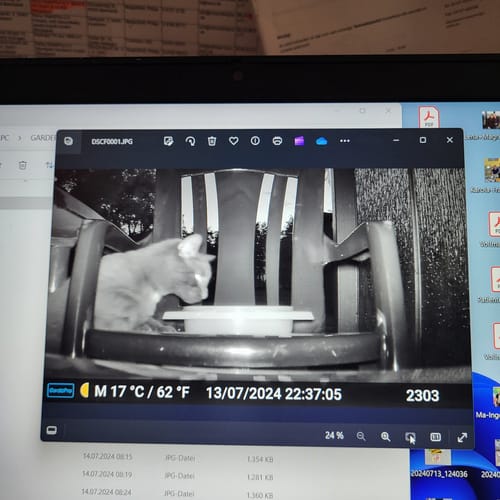 Customer photo review of Wildkamera / Sony Sensor / Scharfes 48MP Bild / 30M Nachtsichtbereich / Schnelle Auslösegeschwindigkeit / Bewegungsmelder / 120° Erfassungswinkel / Integrierter 2,4"-Farbbildschirm